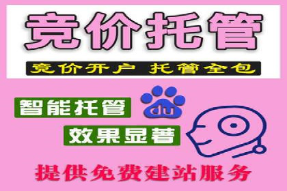 案例分析：百度推广代运营公司在行业中的应用与成效